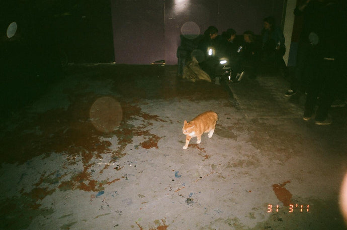 1. I MADE A DECISION YEARS AGO NOT TO LIVE IN THE DARKNESS*