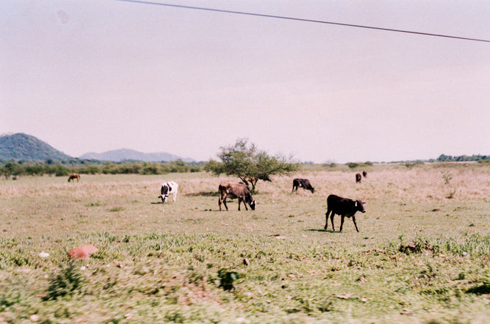 54. PARAGUAY ROLL ONE*