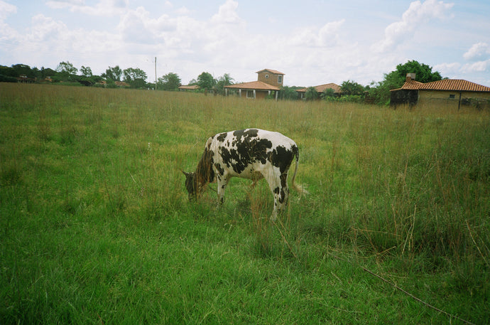 55. PARAGUAY  ROLL TWO*