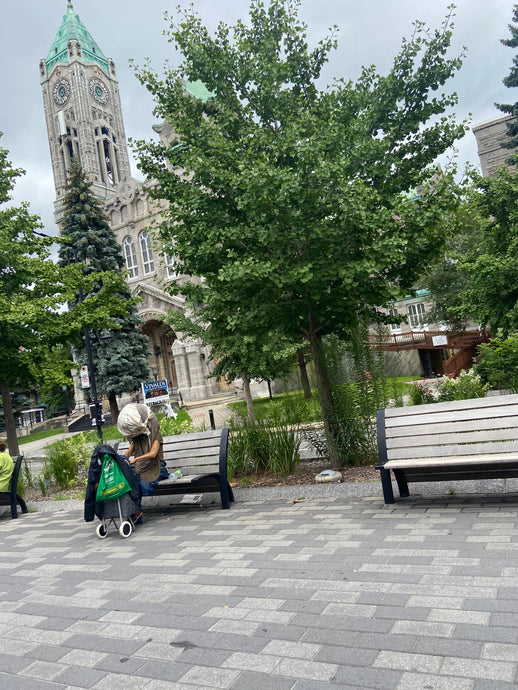 61. THE RAVEN IS A TRICKSTER*