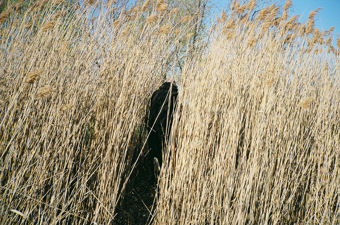 49. IS THIS SUPPOSE TO BE DOING THAT*